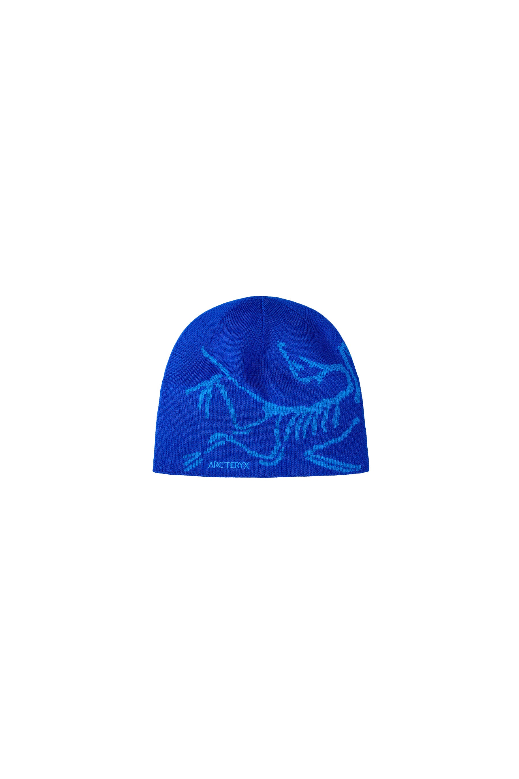 ARC'TERYX Bird Head Toque | STATION 