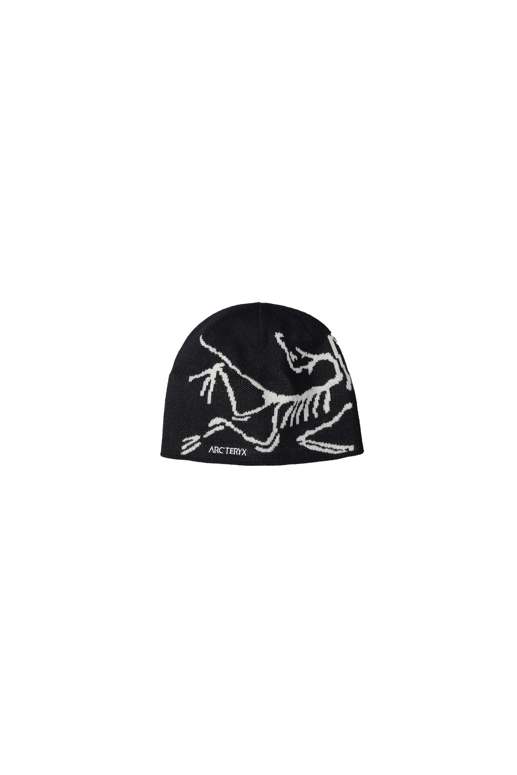 ARC'TERYX Bird Head Toque | STATION 