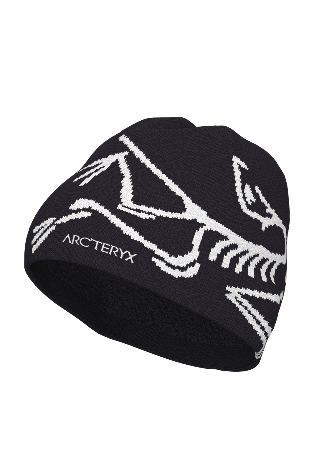 ARC'TERYX Bird Head Toque | STATION 