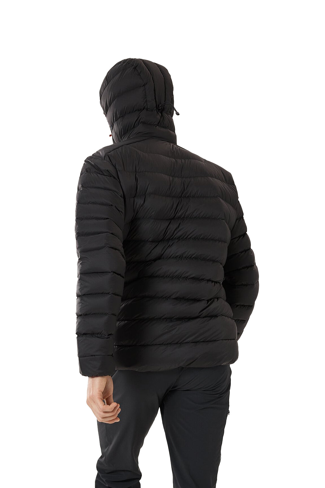 ARC'TERYX Cerium Hoody M | STATION 