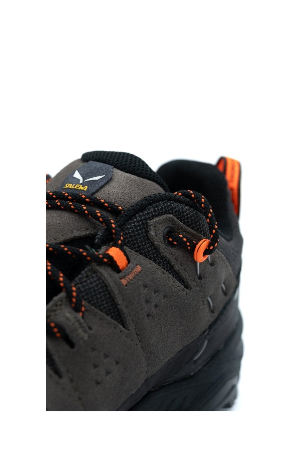 SALEWA Alp Trainer 2 Gtx M | STATION 