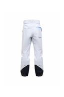 Alpine GTX 3L Pant