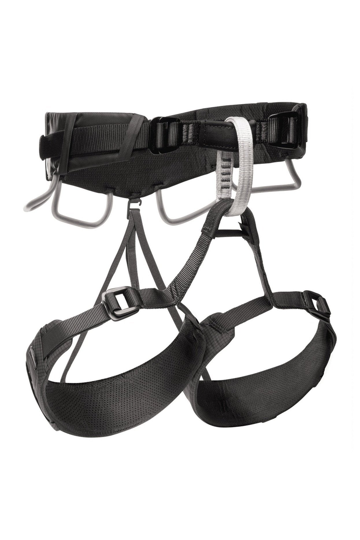 BLACK DIAMOND Momentum 4S Harness | STATION 